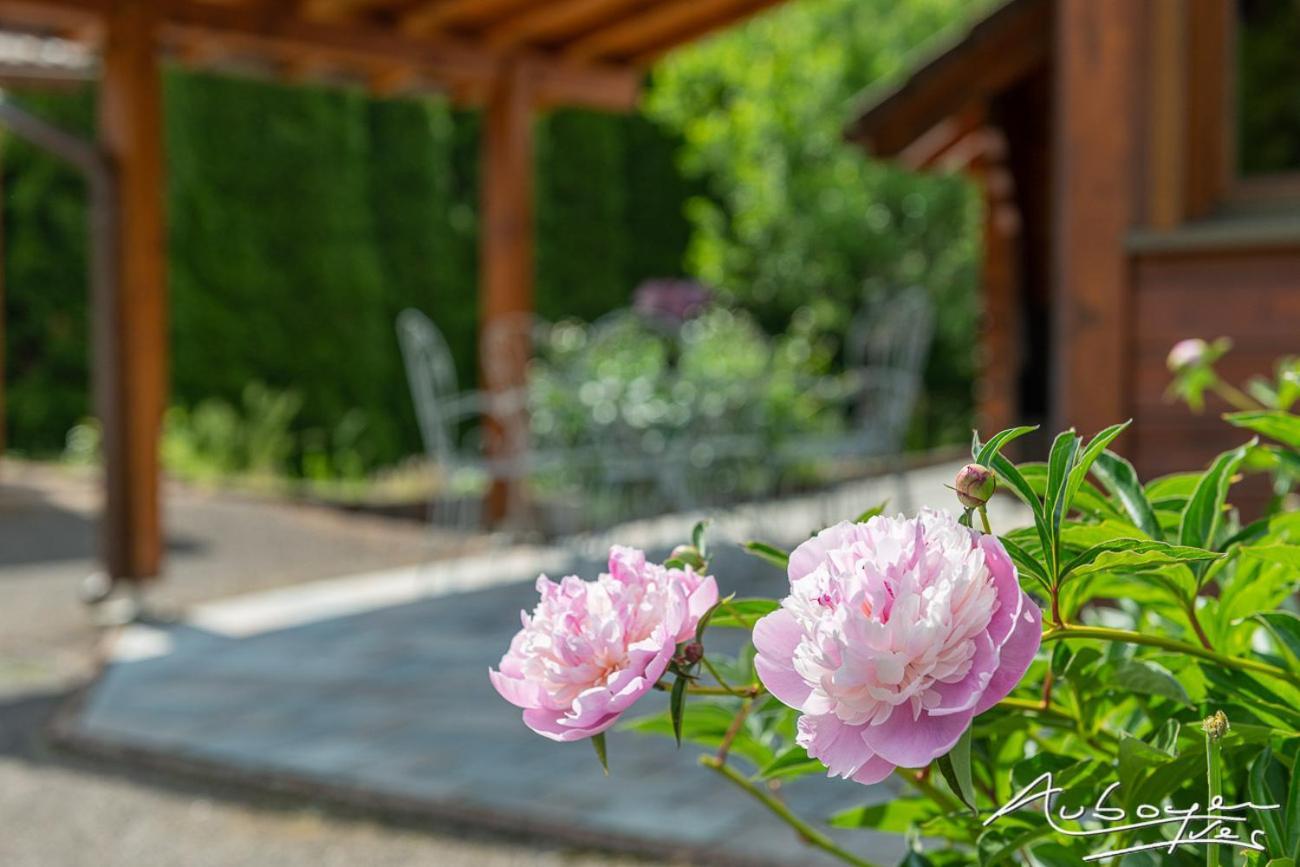 Chalet La Calougeotte, Jardin, Spa Et Sauna Prives ル・メニル エクステリア 写真